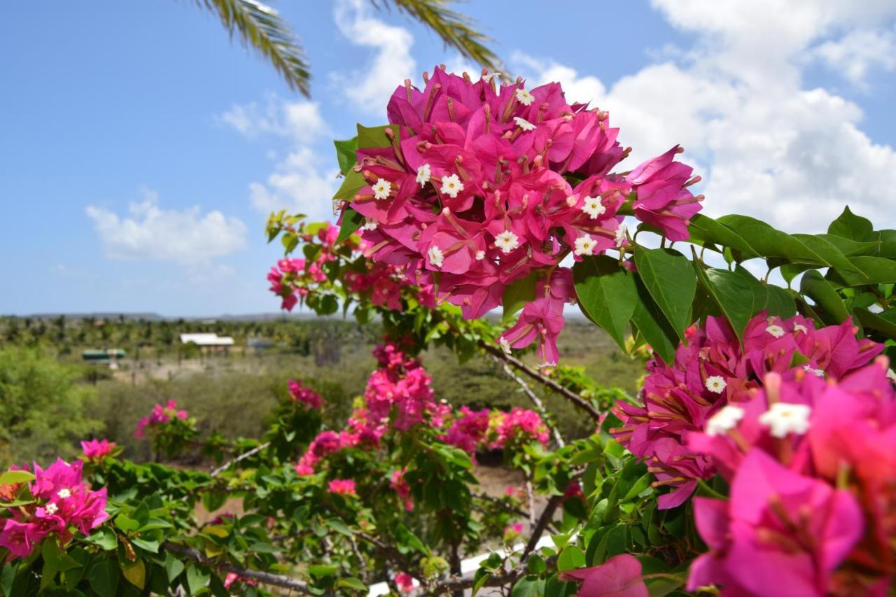 Saint Joris A Tiny Boutique Resort Willemstad Bagian luar foto